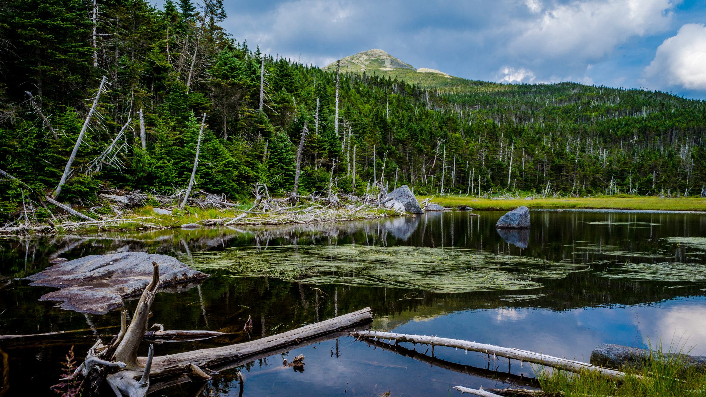 Danau Adirondack Yang Mulia Menghadapi Kenaikan Polusi Mengejutkan