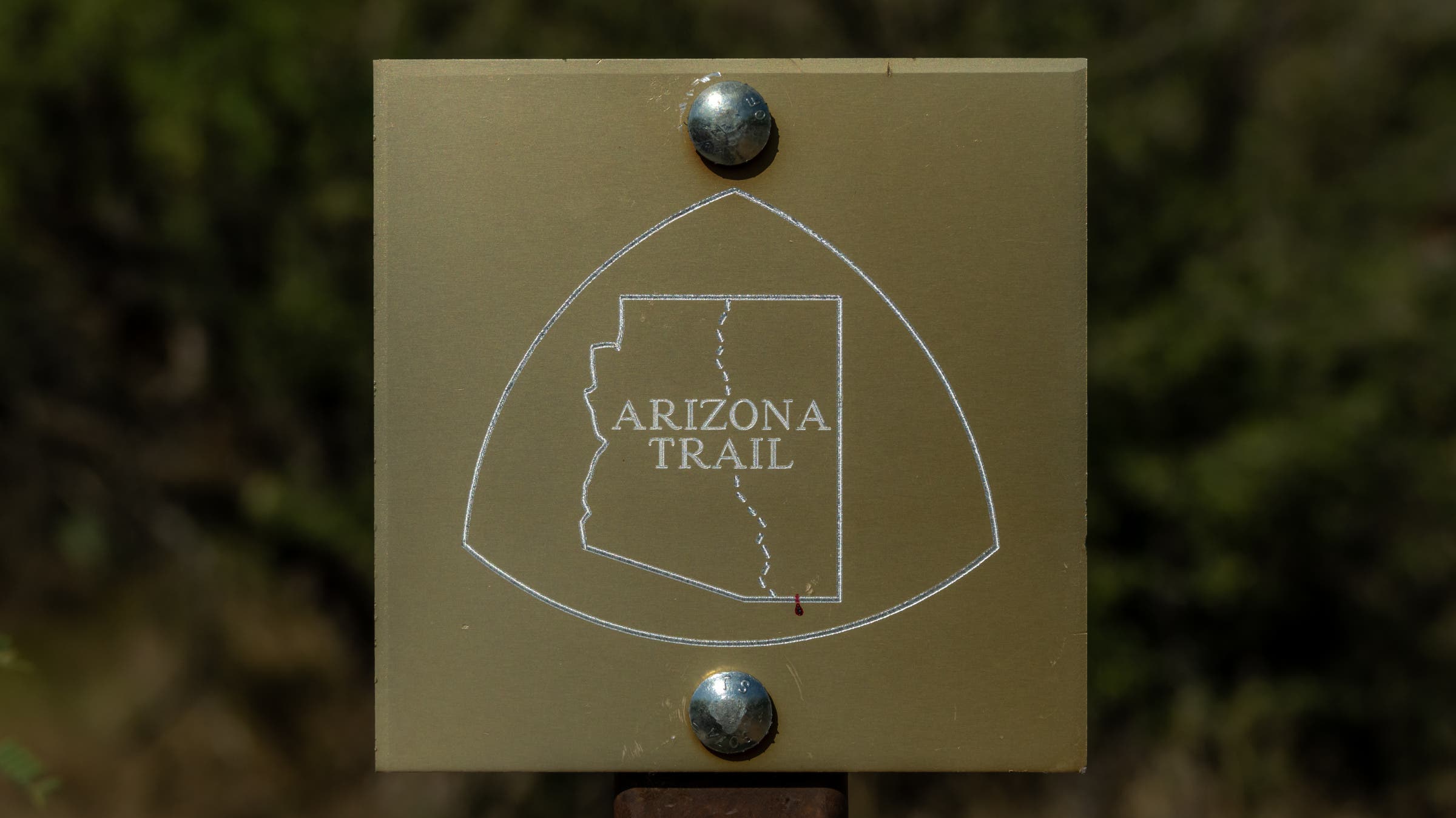 Bagian Selatan Arizona Trail Ditutup Sementara Karena Pembangunan Dinding Perbatasan